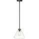 Aliza 1 Light 11 inch Matte Black Indoor Pendant Ceiling Light